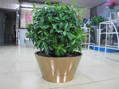 廣東汕頭不銹鋼花盆哪家做的好？